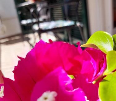 Lovran Apartment | Apartment Pinia with free parking