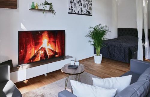 Erfurt Apartment | Apartment SCHILLER I - Erfurt Zentrum