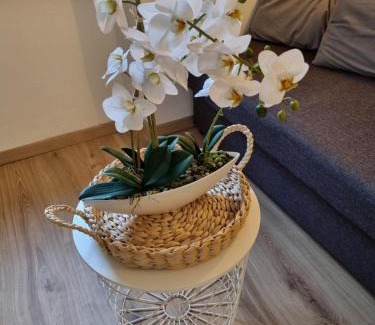 Rossleithen Apartment | Apartment Seebachhof
