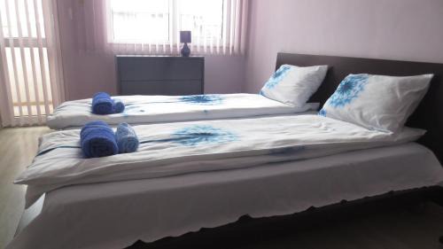 Plovdiv Center Apartment | Apartment Sophie