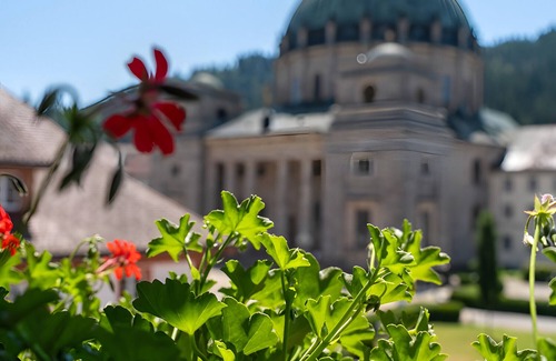 St. Blasien Apartment | Apartment 'Suite' with Shared Garden and Wi-Fi