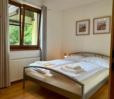 Tatranska Lomnica Apartment | Apartment Tatry Comfort - Tatranská Lomnica