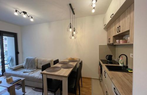 Zlatibor Apartment | Apartment Teodora 4 ZVEZDICE-minimum 3 nocenja za rezervaciju