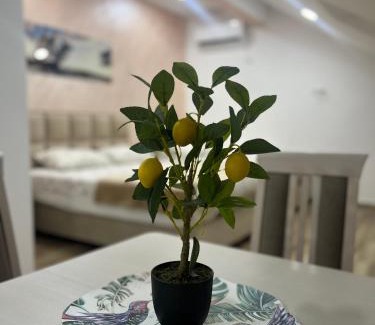 Zelenika Apartment | Apartment Tri limuna 3