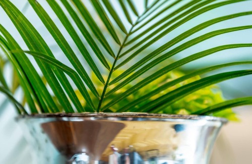 Krems an der Donau Apartment | Apartment with Terrace and King Bed in Krems City