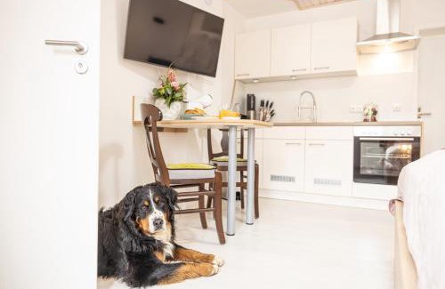 Willingshausen Apartment | Apartment Wasenberg