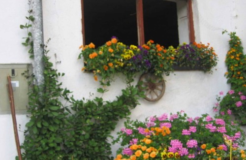 Fischbachau Apartment | Apartment Wendelstein - Gottenbichlhof