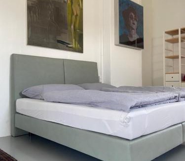 Linz Apartment | Apartment Winterhafen