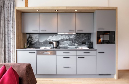 Haus im Ennstal Apartment | Apartment with private sauna and a terrace