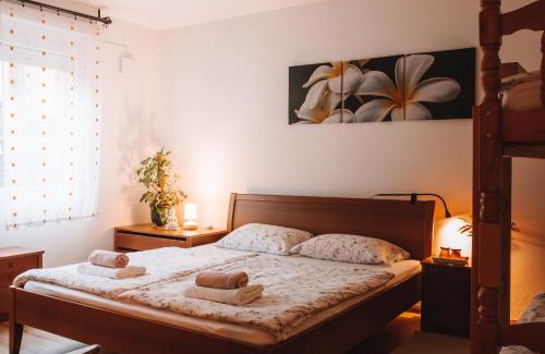 Tolmin Apartment | Apartment with Atrium Anabela