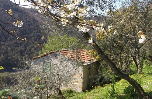 Diano Evigno Apartment | Apartment with garden overlooking the sea