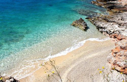 Zavala Apartment | Apartment Zavala 594b