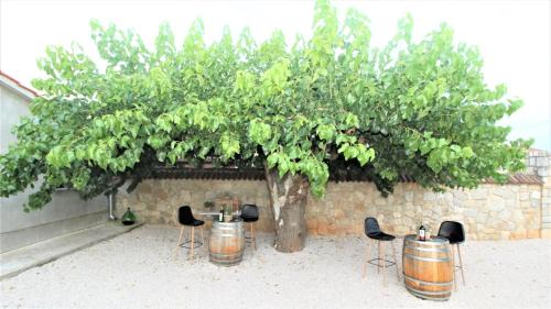 Kastelir-Labinci Apartment | Apartments Brcic