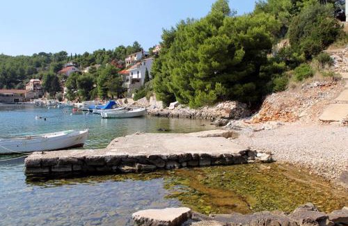 Cove Basina (Jelsa) Apartment | Apartments by the sea Basina, Hvar - 8749