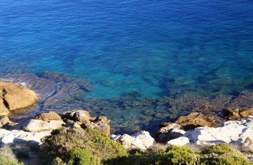 Milna Apartment | Apartments by the sea Milna, Vis - 8944