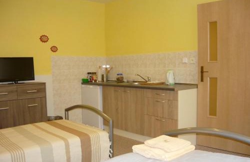 Hradec Kralove House | Apartments - Penzion Lena