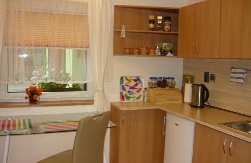 Hradec Kralove House | Apartments - Penzion Lena
