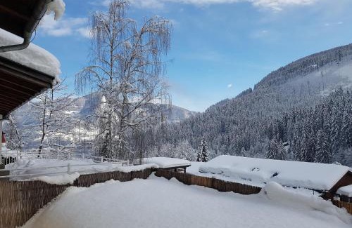 Zell am See Apartment | Apartments Summer & Winter Fun by All in One Apartments