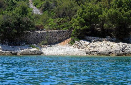 Zman Apartment | Apartments with a parking space Zman, Dugi otok - 8133