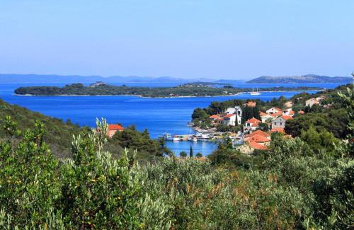Zman Apartment | Apartments with a parking space Zman, Dugi otok - 8133