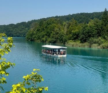 Grabovac Apartment | Apartments with balcony and with large free parking House Oliver