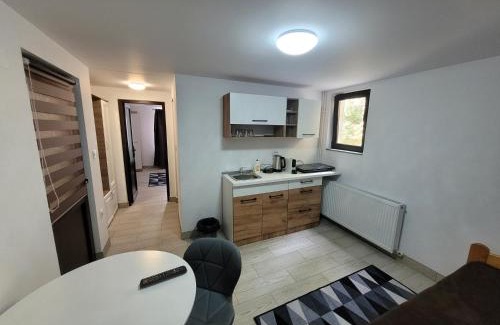 Carlibaba Apartment | Apartmentul Radu