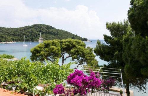 Saplunara Apartment | Apartmetns Franka Saplunara-One-Bedroom Apartment with Terrace and Sea View No2