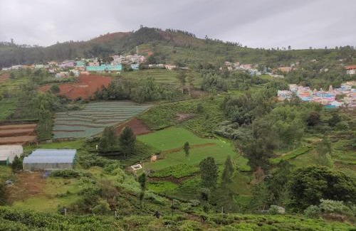 Ooty Villa | Apex villa