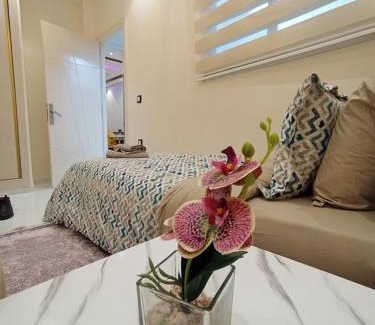Tangier Apartment | Aphrodite Elegant Apartment with Wifi, AC, & Netflix