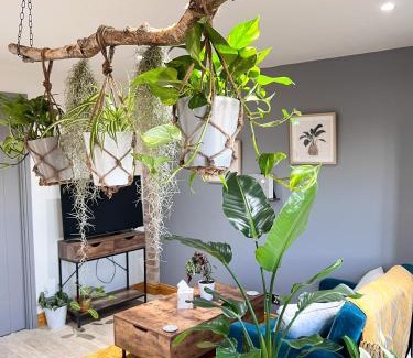 Walsoken Apartment | Aplanty Studio in the Orchard