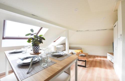 Mulhouse Apartment | Apogee Mulhousienne