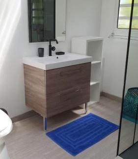 L'Ermitage-les-Bains Apartment | Appart Cocotiers