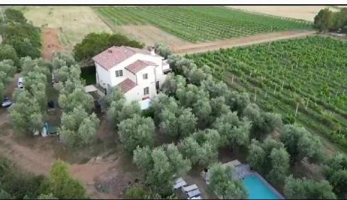 Pian di Rocca Apartment | Appartamenti in Villa