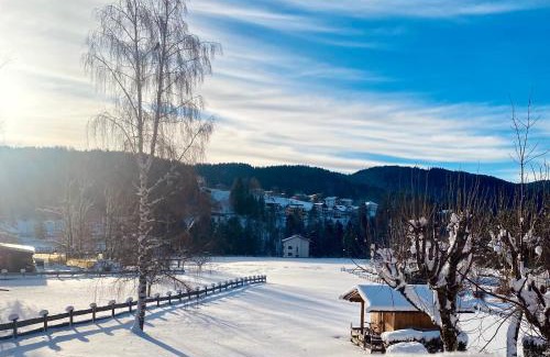 Costa Apartment | Appartamento a Costa di Folgaria