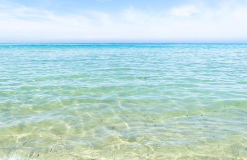 Torre Mozza Apartment | Appartamento fronte spiaggia e vista mare climatizzato