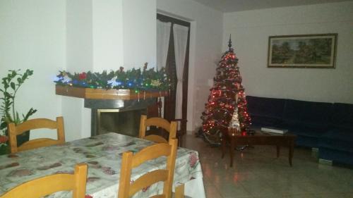 Osimo Apartment | Appartamento Il Tiglio