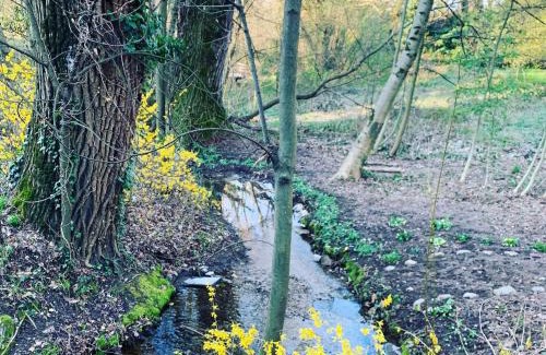 Coldrerio Apartment | Appartamento TieMi