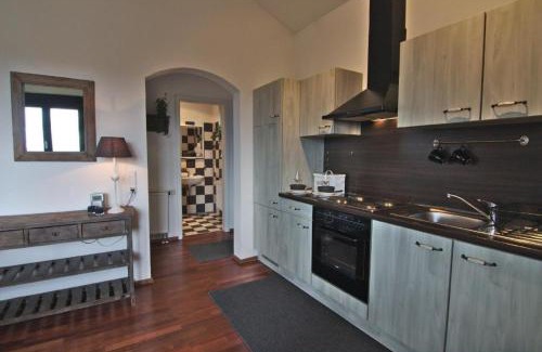 Sasbach am Kaiserstuhl Apartment | Appartement in Sasbach Am Kaiserstuhl mit Grill