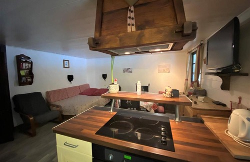 Les Prodains Apartment | Appartement 2 pièces, 5 min du téléphérique Avoriaz, navette gratuite, parking, jardin, services inclus - FR-1-754-41