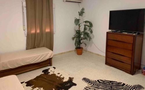 Algiers Apartment | Appartement 5 lits 2 chambres Mimosa