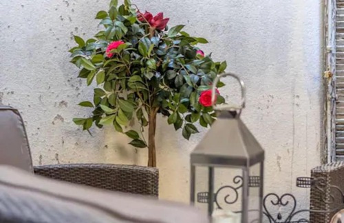 Notre-Dame du Mont Apartment | Appartement au cœur de centre-ville de Marseille