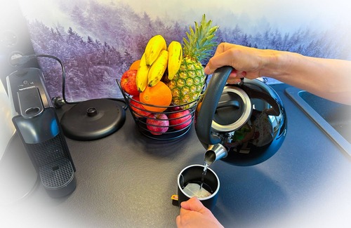 Ebensee Apartment | Appartement Bergmann - Gemütliches Appartement am Traunsee mit Terrasse