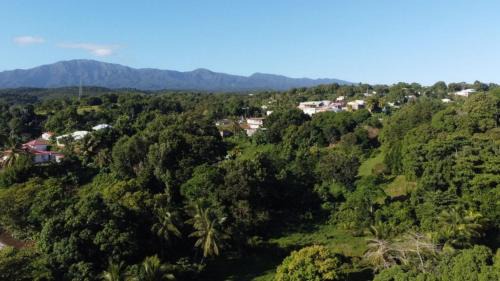Circuit 1C1 Apartment | Appartement Camillia, 41m2 et son jardin privatif.