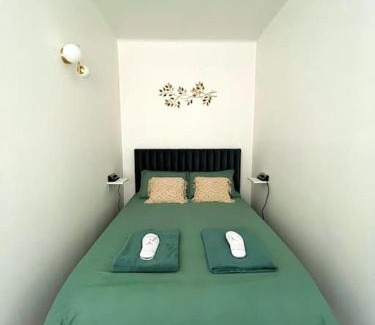 Saint-Etienne Apartment | Appartement COSY Gare Chateaucreux