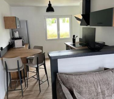 Vendœuvres Apartment | Appartement en Brenne