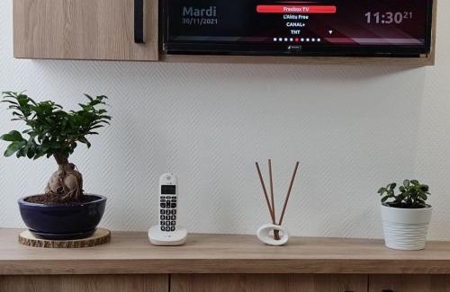 Vittel Apartment | Appartement lumineux 4* pour 2 à Vittel, proche thermes, WiFi, parking gratuit - FR-1-589-745