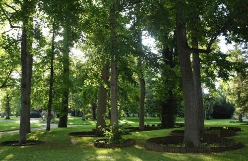 Vittel Apartment | Appartement lumineux 4* pour 2 à Vittel, proche thermes, WiFi, parking gratuit - FR-1-589-745