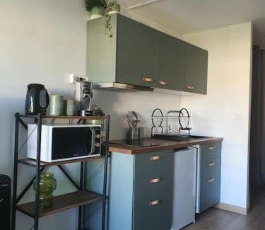 La Petite Motte Apartment | Appartement pour 1 à 4 Pers Terrasse et Parking