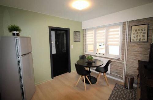 Sarreguemines Apartment | Appartement tout confort, meublé et équipé.
