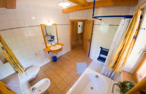 Alpbach Apartment | Appartementhaus Wildbachhof